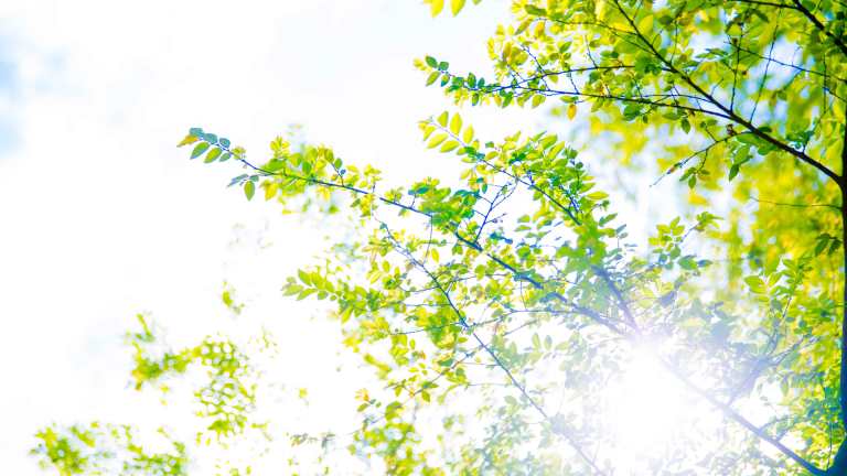 Stimmungsaufhellung im Mittelstand