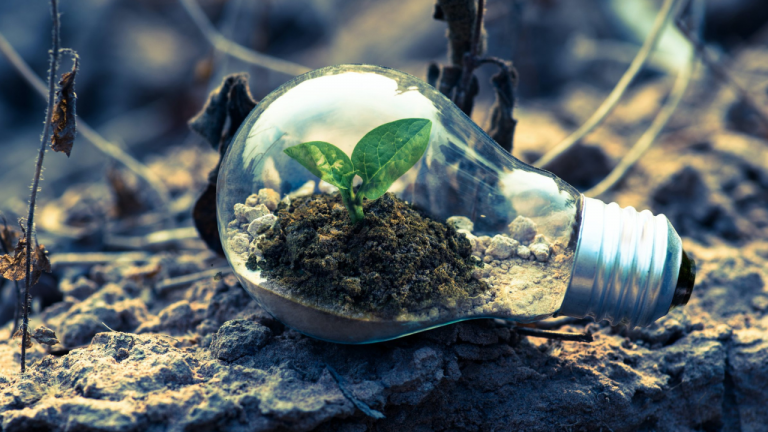 S. Oliver with First Sustainability Report S. Oliver with First Sustainability Report