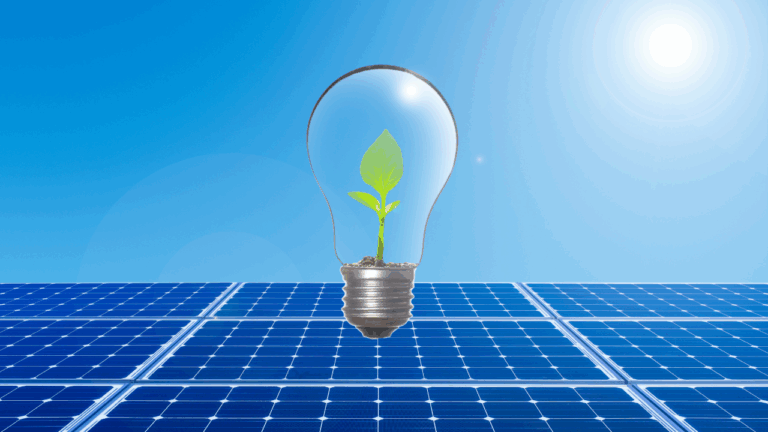 The 5 Most Important Subsidized Investments for Companies